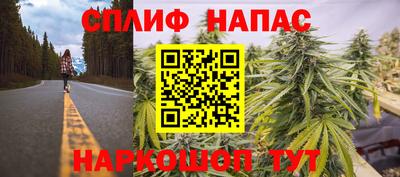 mdpv Вышний Волочёк
