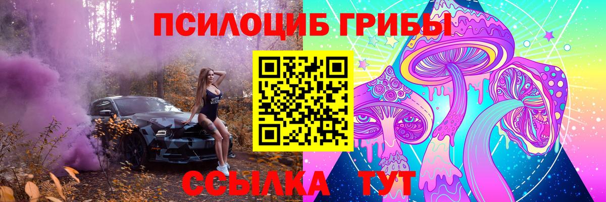 Псилоцибиновые грибы GOLDEN TEACHER  Вход с VPN  продажа наркотиков  Белебей 